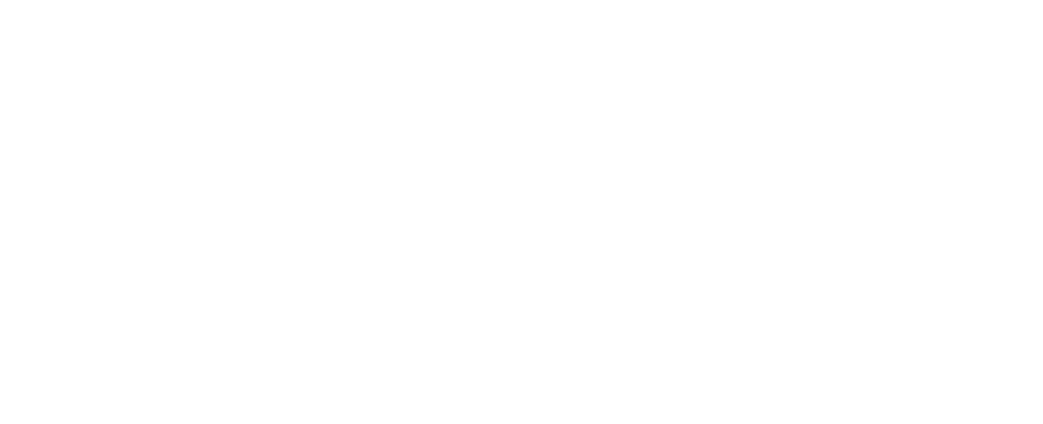 xero partner