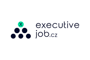 executive jobs partnership
